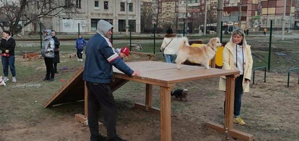 Скандал в Днепре: родители водят детей гулять на собачью площадку