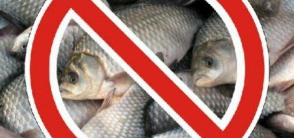 Осторожно, нерест: на Днепропетровщине вводятся запреты на ловлю рыбы