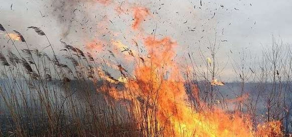 На Днепропетровщине сгорело 9 га растительности