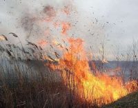 На Днепропетровщине сгорело 9 га растительности