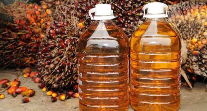 В Украине подготовлен проект закона о запрете пальмового масла