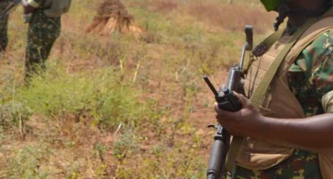 Нападения боевиков в Нигере: погибли 137 мирных жителей