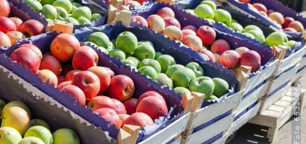 В Украине цены на яблоки могут вырасти в три раза, – эксперты