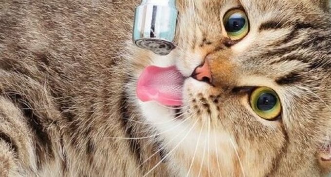 В Днепре экстренно отключили воду: подробности