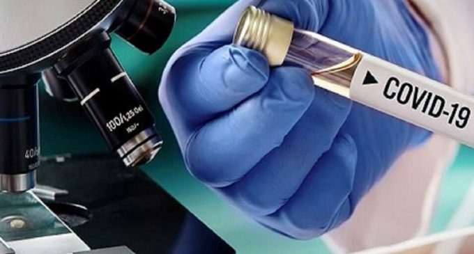 Коронавирус в Украине 14 апреля: статистика по областям