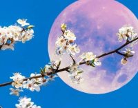 Лунный гороскоп для днепрян на сегодня, 27 апреля