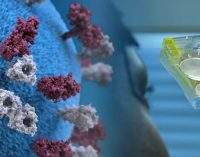 Коронавирус в Украине: статистика по областям на сегодня, 17 апреля