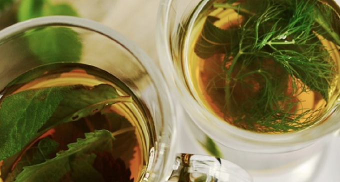 Для детоксикации и здоровья: польза чая разных сортов