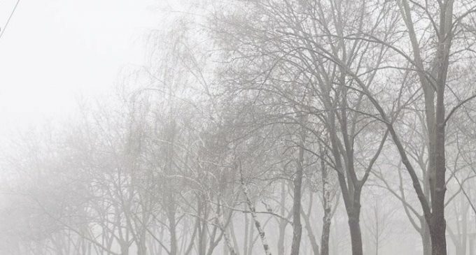 Дожди, туман, холод и сильный ветер: на этих выходных в Днепре «нелетная» погода