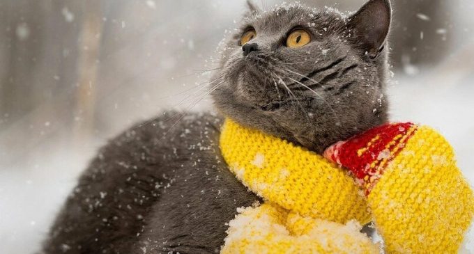 На Украину надвигается новый атмосферный фронт, который принесет похолодание и снег с дождем: что ждет днепрян