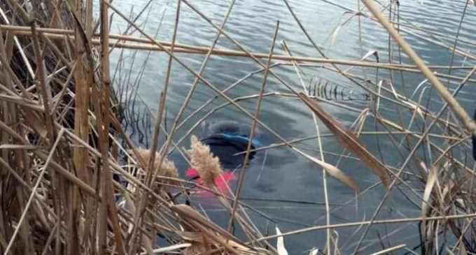 Под Днепром из водохранилища достали труп мужчины
