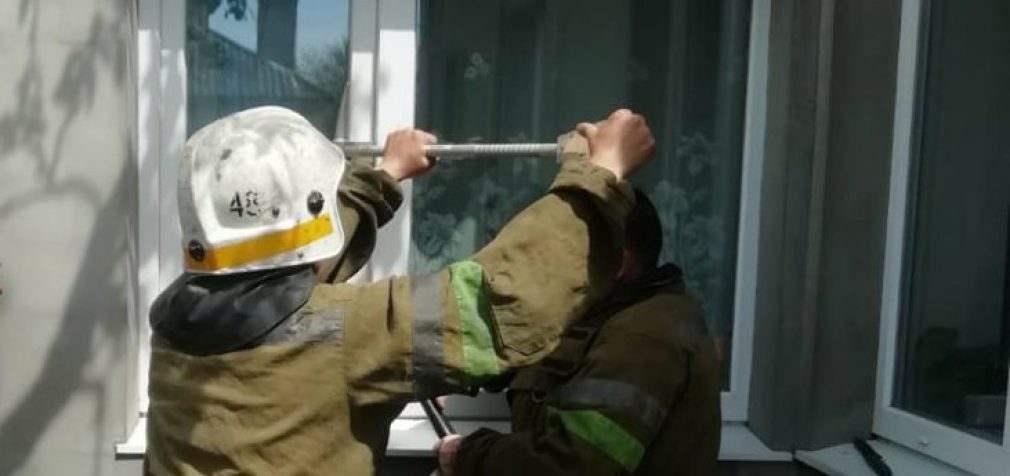 На Днепропетровщине чрезвычайники спасли ребенка который закрылся в доме
