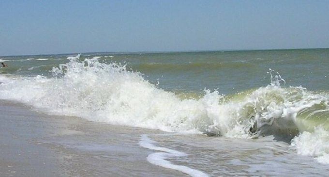 На море, куда ездят большинство днепрян, нашли жуткие находки, – ФОТО 18+