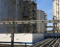 Сеть популярных в Днепре АЗС получила арест на корпоративные права