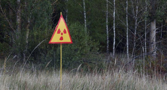 У ДСНС спростували інформацію щодо масштабних пожеж у Чорнобильській зоні