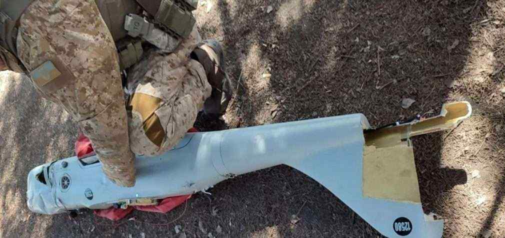 Сили ППО збили російський безпілотник “Орлан-10” у Херсонській області