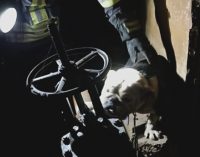 В Запоріжжі рятувальники витягнули собаку з 4-метрового колодязя теплотраси