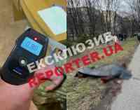 Відлетіла на 15 метрів: в Дніпрі на Панікахи нетверезий водій на Mercedes насмерть збив літню жінку