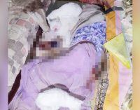 Руки та ноги об’їли коти: у Дніпрі виявили тіло жінки без ознак життя