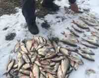 Ловили «драчем»: На Арковому мосту в Запоріжжі браконьєри спіймали 22 кг риби, зашкодивши природі на 350 тис. грн.