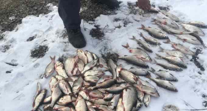 Ловили «драчем»: На Арковому мосту в Запоріжжі браконьєри спіймали 22 кг риби, зашкодивши природі на 350 тис. грн.