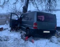 На Дніпропетровщині автівка злетіла з траси і вдарилась в дерево