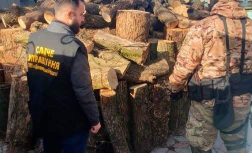 Незаконно зрубали ліс і завдали шкоди на 2 млн: на Дніпропетровщині затримали ОЗГ