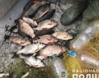 Наловили на 350 тис. грн.: У Запоріжжі водні поліцейські вчергове викрили браконьєрів