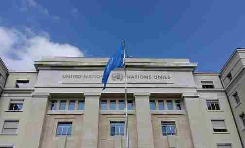 ООН: Консультації щодо продовження зернової угоди продовжуються