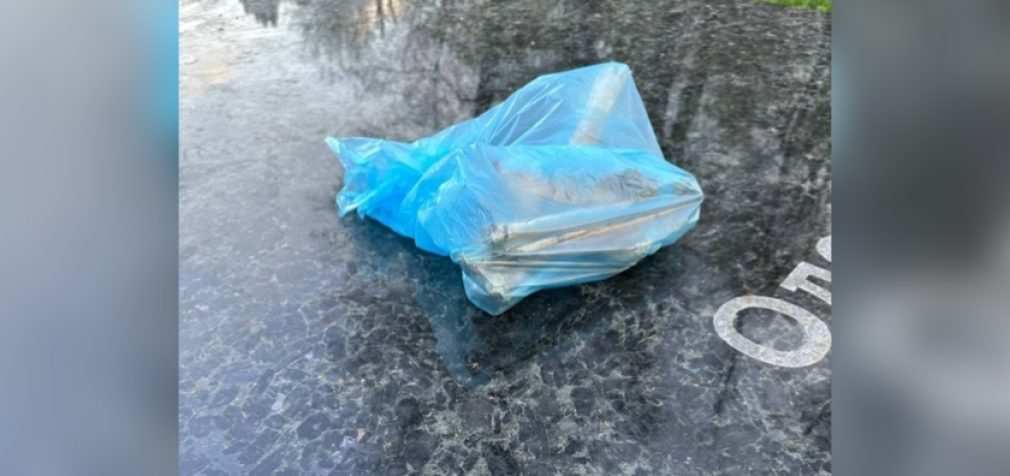 У Дніпрі на могилу Поля вдруге за місяць принесли кістки