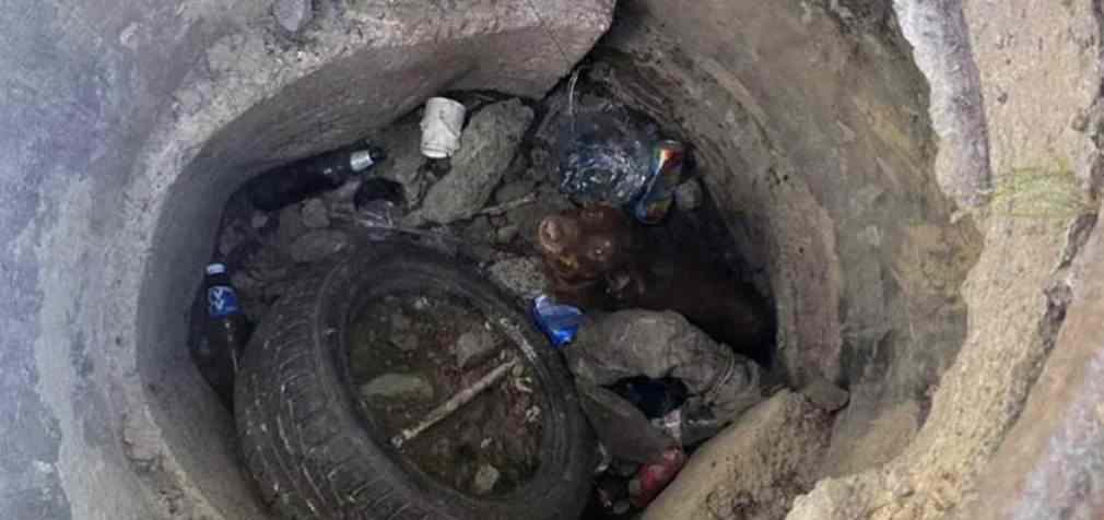У Дніпрі врятували собаку, яка впала у занедбаний колектор