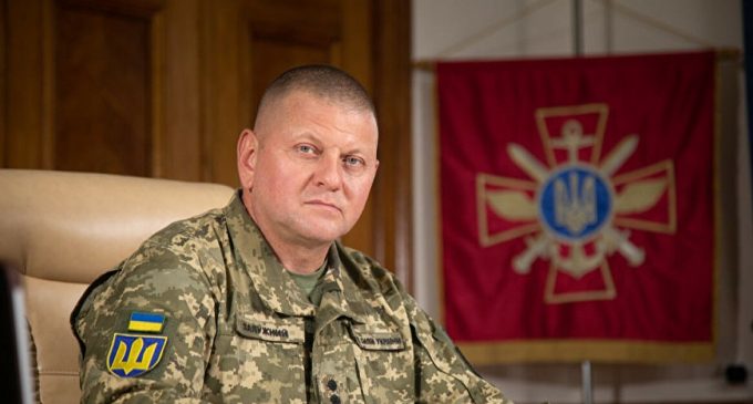 Чи піде Залужний в політику: що кажуть джерела