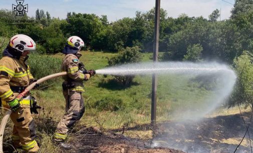 Вогнеборці Нікопольського району ліквідували два займання в екосистемах