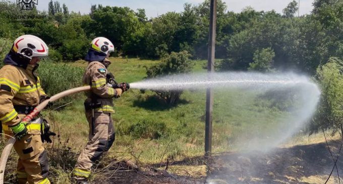 Вогнеборці Нікопольського району ліквідували два займання в екосистемах