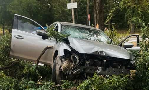 Не впорався з керуванням та влетів у дерево: подробиці ДТП з постраждалим у Дніпрі