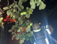 Отруївся продуктами горіння: у Синельниківському районі внаслідок пожежі постраждав чоловік
