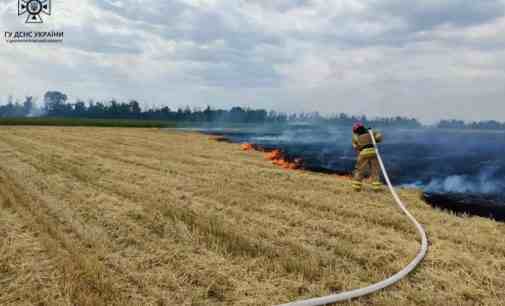 Зайнялося після жнив: у Зеленодольську ліквідовано пожежу на сільгоспугідді