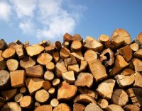 В Україні оновили ціни на дрова: що пропонують постачальники