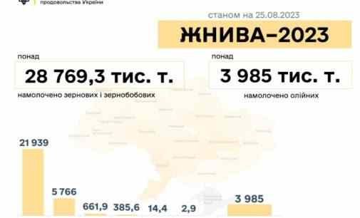 Дніпропетровщина увійшла до трійки областей, що дали Україні найбільше зерна