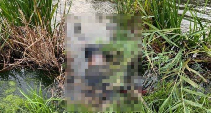 Знайшли в очереті: надзвичайники Кривого Рогу дістали з водойми тіло загиблого чоловіка