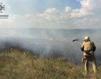 На Дніпропетровщині протягом доби ліквідували 19 пожеж в екосистемах