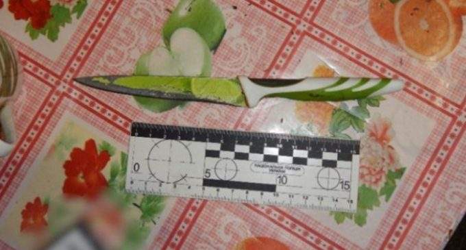 Вдарив співмешканця матері ножем в живіт: правоохоронці Нікополя затримали нападника