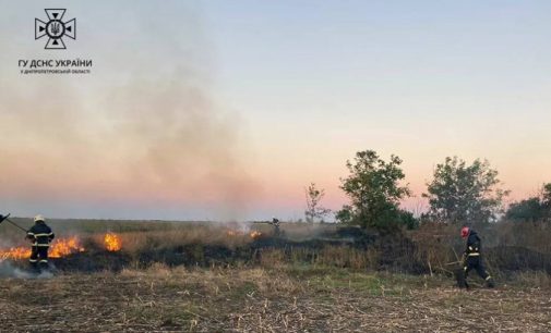 Надзвичайники Дніпропетровщини ліквідували 78 займань в екосистемах