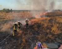 29 випадків за добу: вогнеборці Дніпропетровщини долають численні пожежі в екосистемах