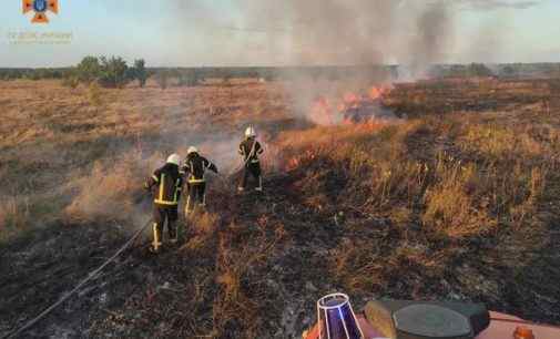 29 випадків за добу: вогнеборці Дніпропетровщини долають численні пожежі в екосистемах