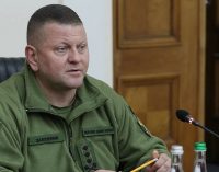Залужний поговорив з румунським візаві про російські атаки на Дунаї