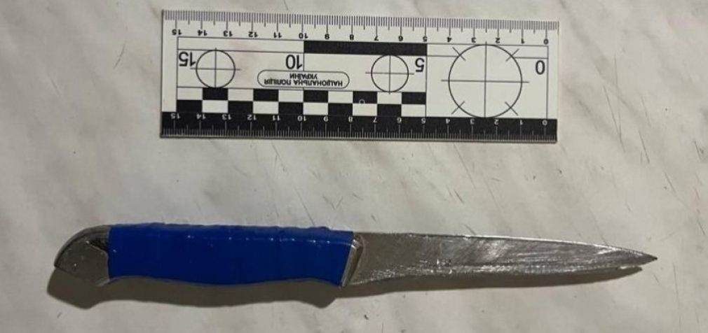 Вдарила знайомого ножем у живіт: правоохоронці Кривого Рогу затримали 26-річну нападницю