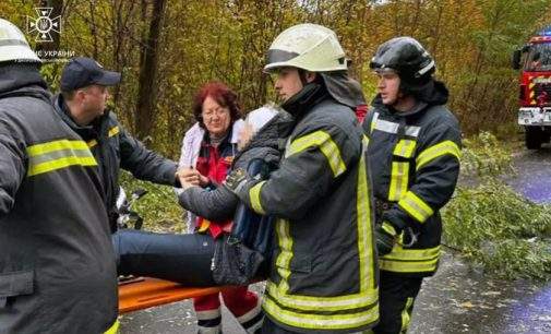 Зʼїхала з дороги та зіткнулася з деревом: надзвичайники Дніпровського району врятували 70-річну водійку Renault