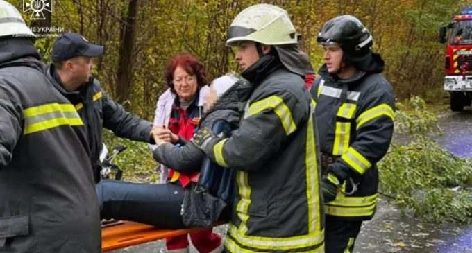 Зʼїхала з дороги та зіткнулася з деревом: надзвичайники Дніпровського району врятували 70-річну водійку Renault
