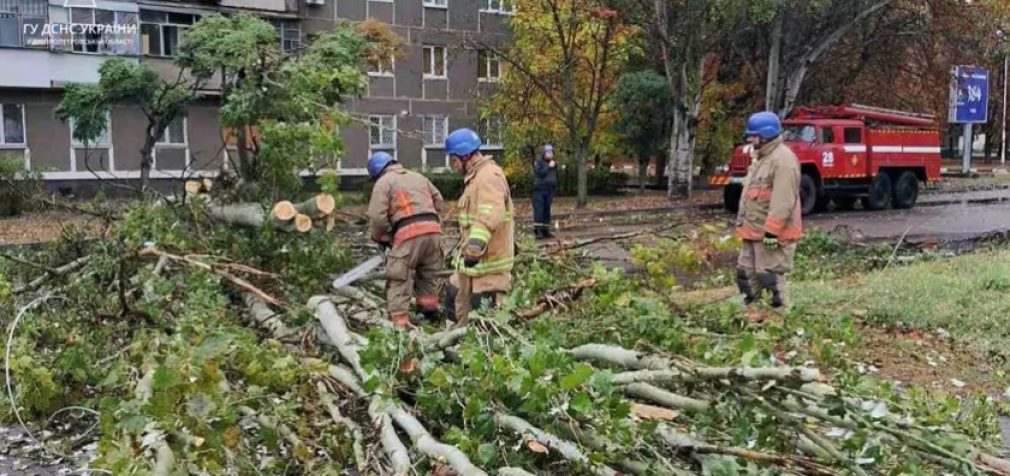 Надзвичайники Нікополя прибрали повалене дерево з проїжджої частини